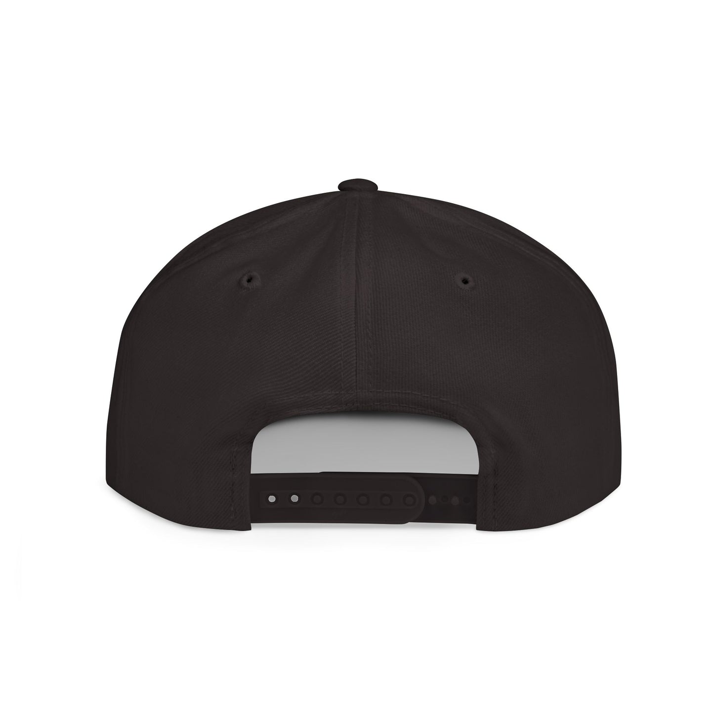 Plan of Salvation Snapback Hat | LDS Apparel