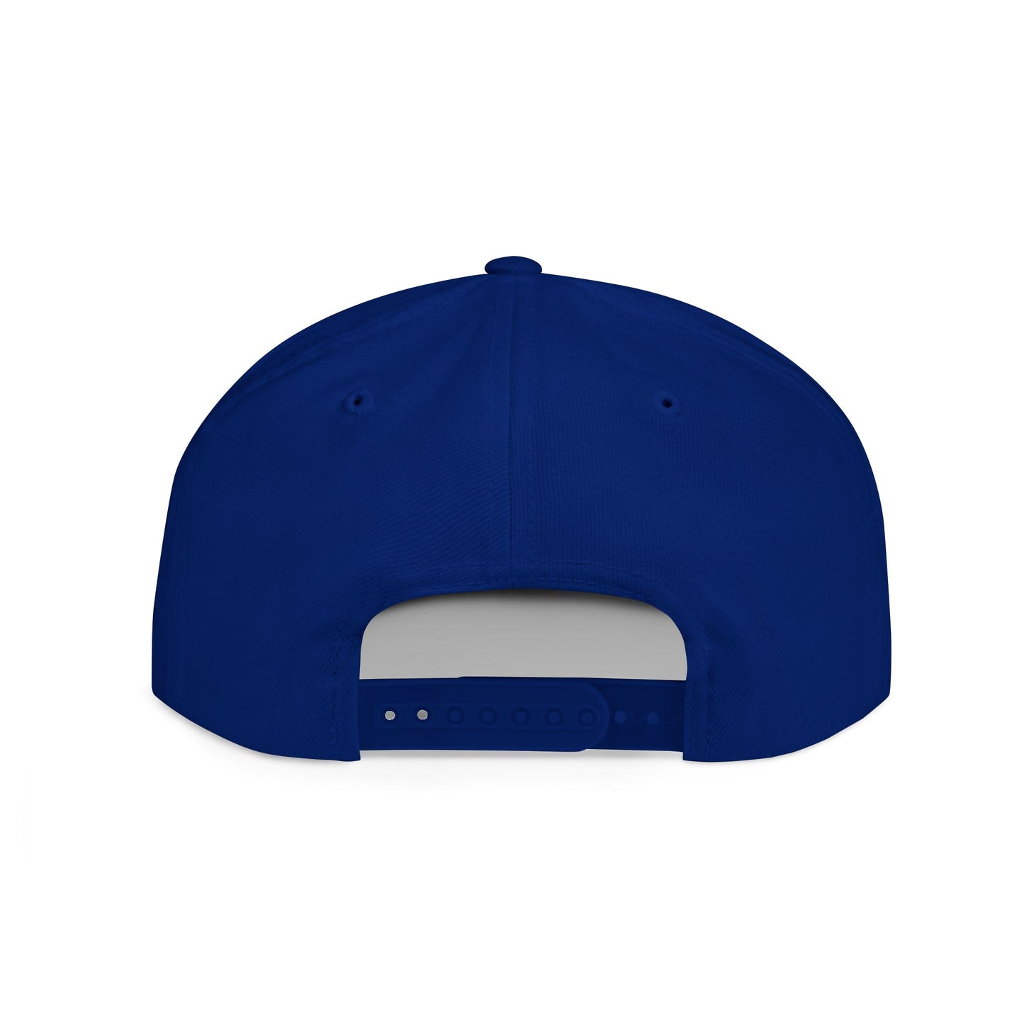 Plan of Salvation Snapback Hat | LDS Apparel